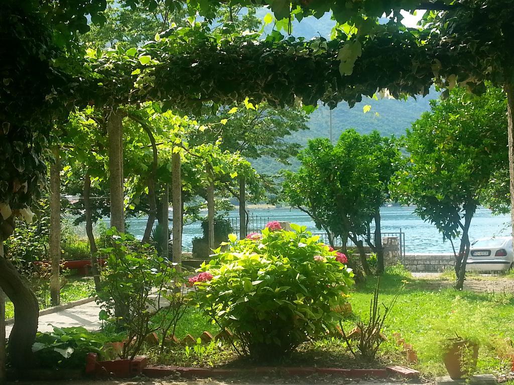 Apartments Vido Kotor Room photo